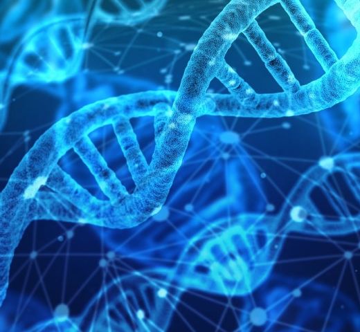 Les conférenciers physiciens pour une conférence