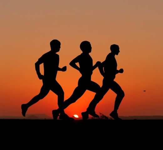 Les meilleurs conférenciers sportifs